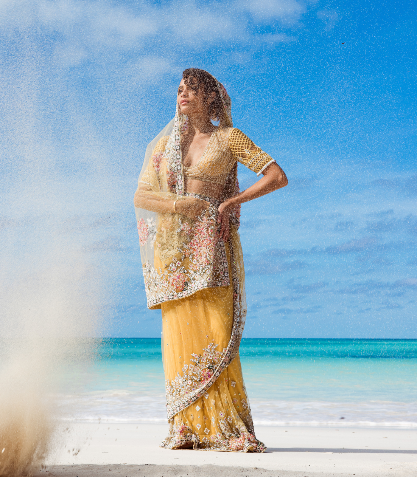 Embroidered Poem Sari
