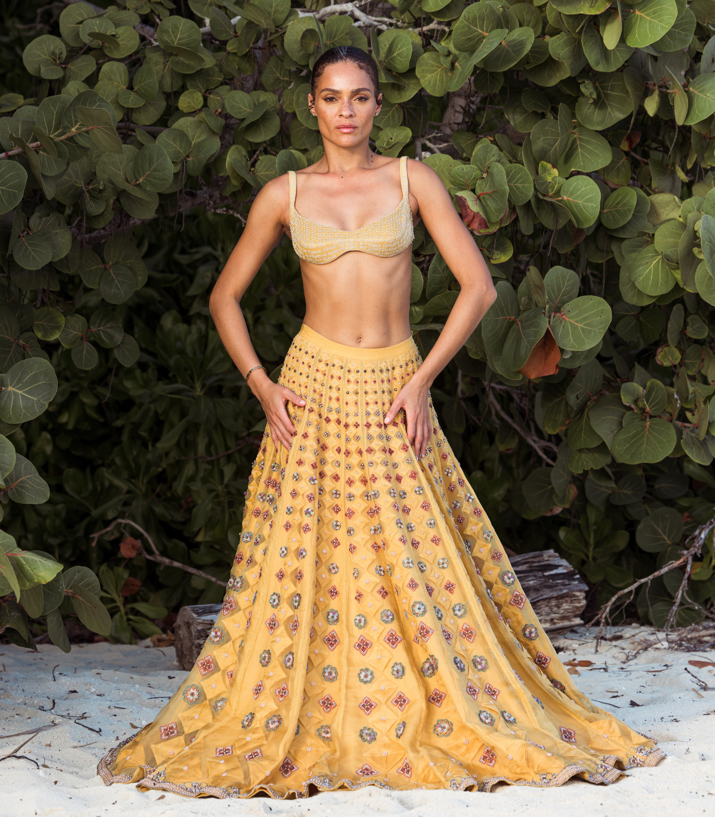 Sunlit Embellished Lehenga
