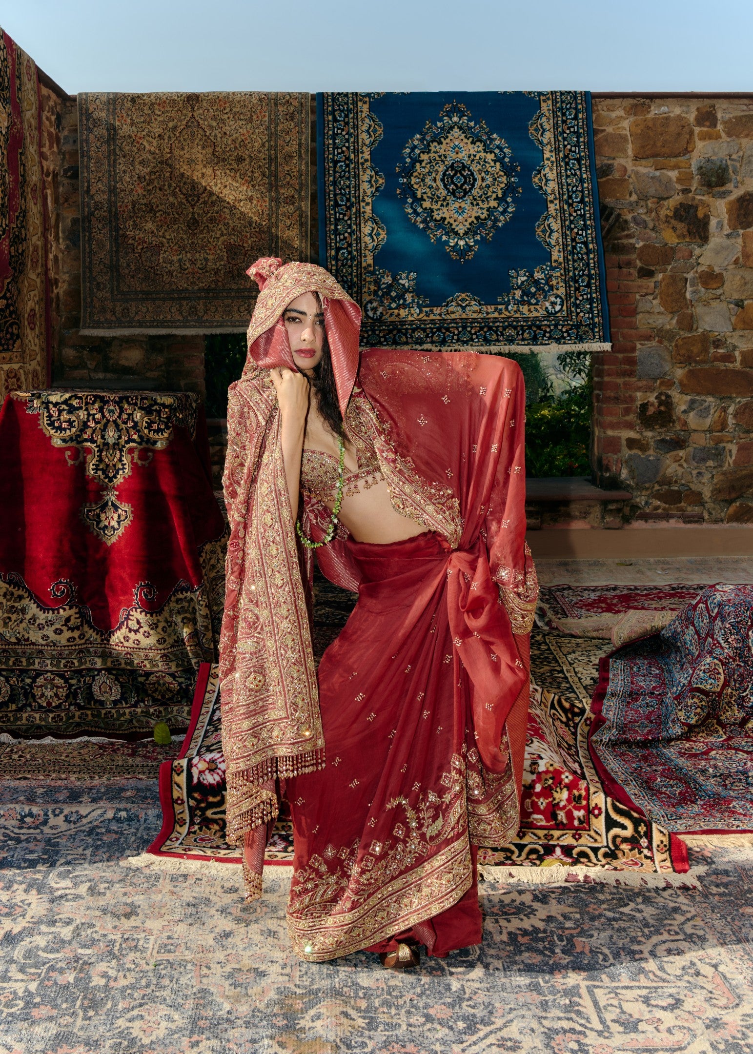 Regal Embroidered Sari