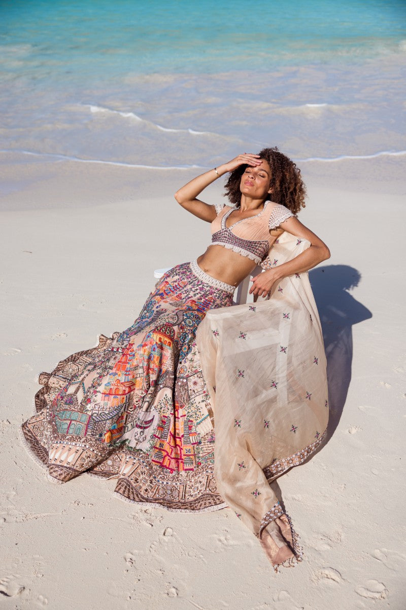 Embroidered Motif Lehenga