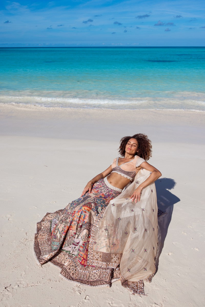 Embroidered Motif Lehenga