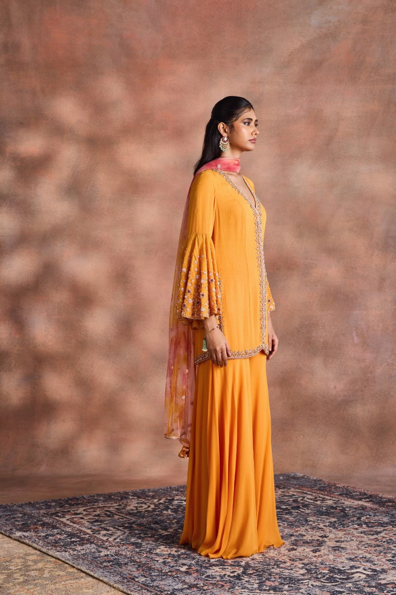 Embelished kurta Set