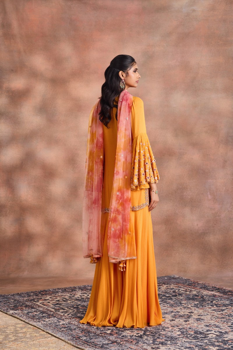 Embelished kurta Set