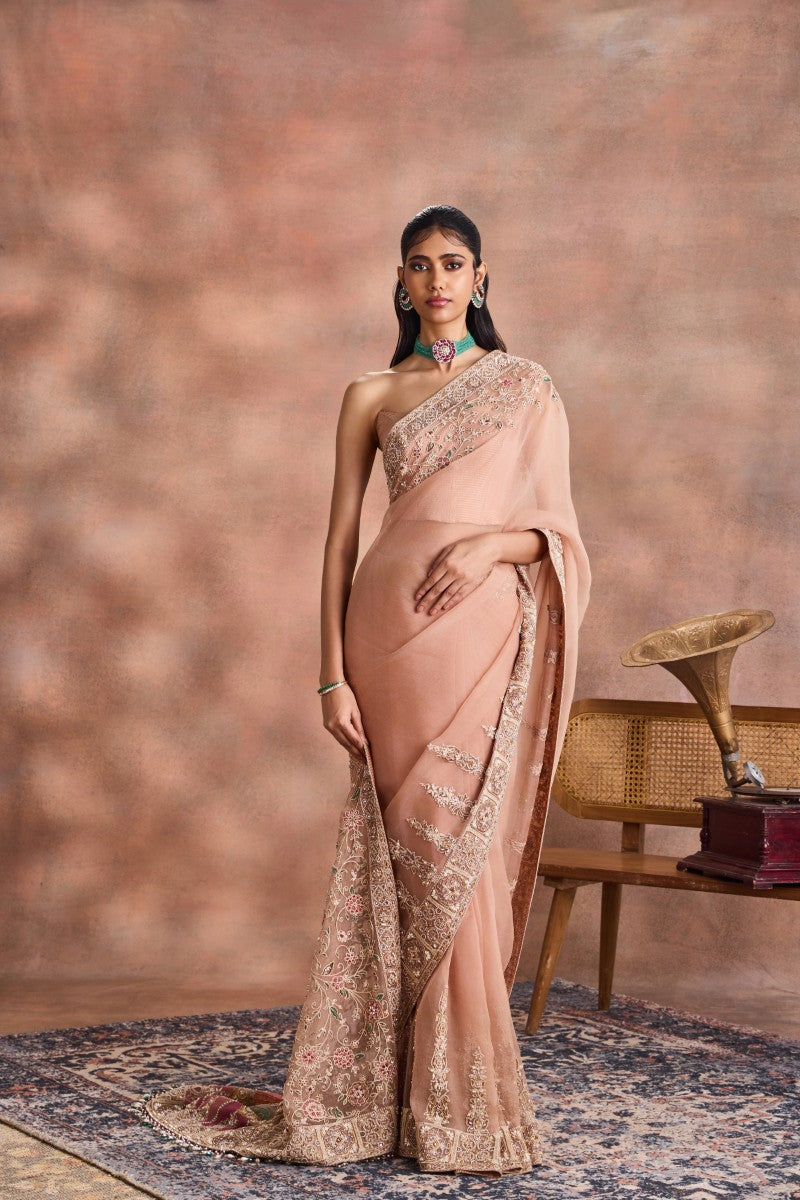 Corseted Sheer Saree