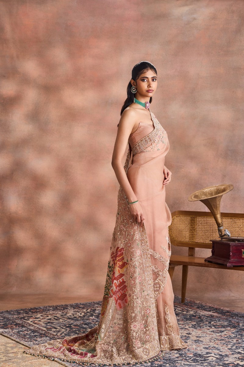 Corseted Sheer Saree