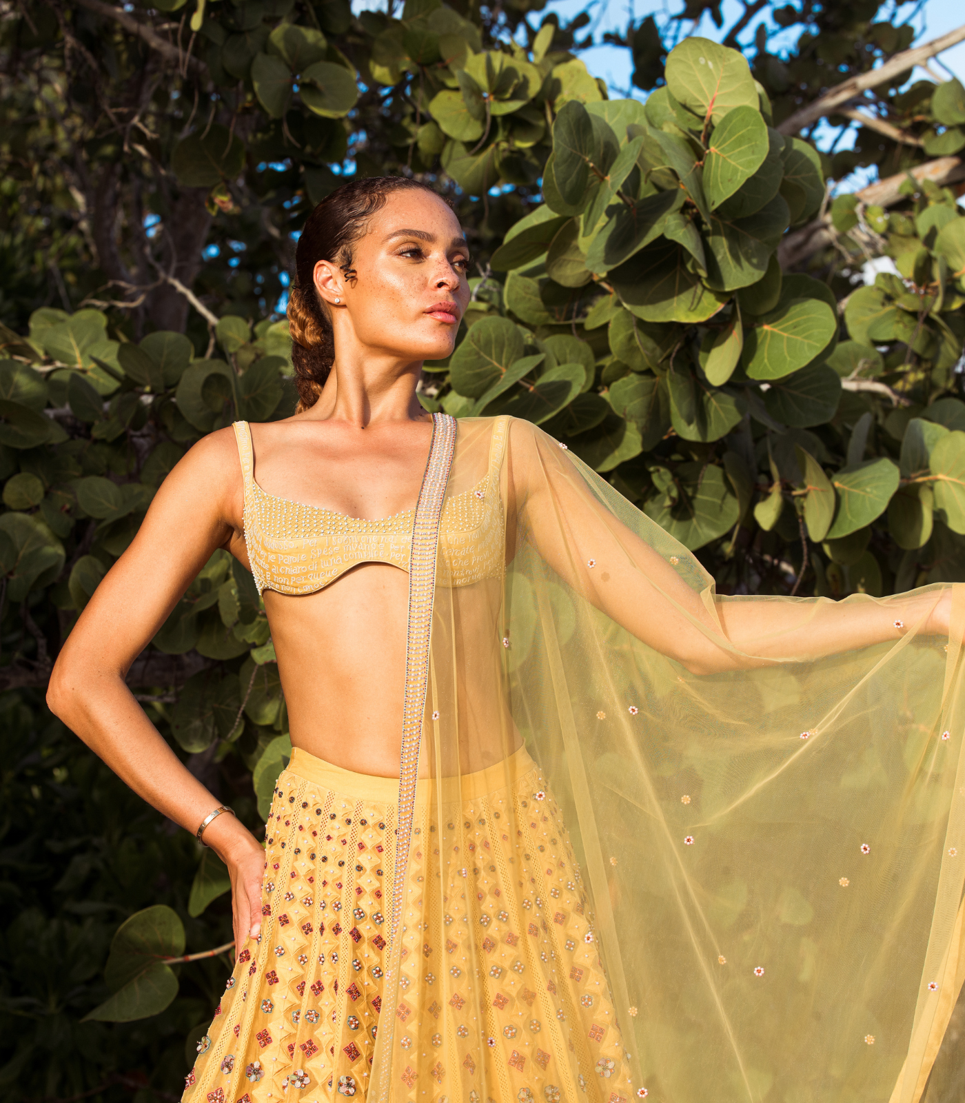 Sunlit Embellished Lehenga