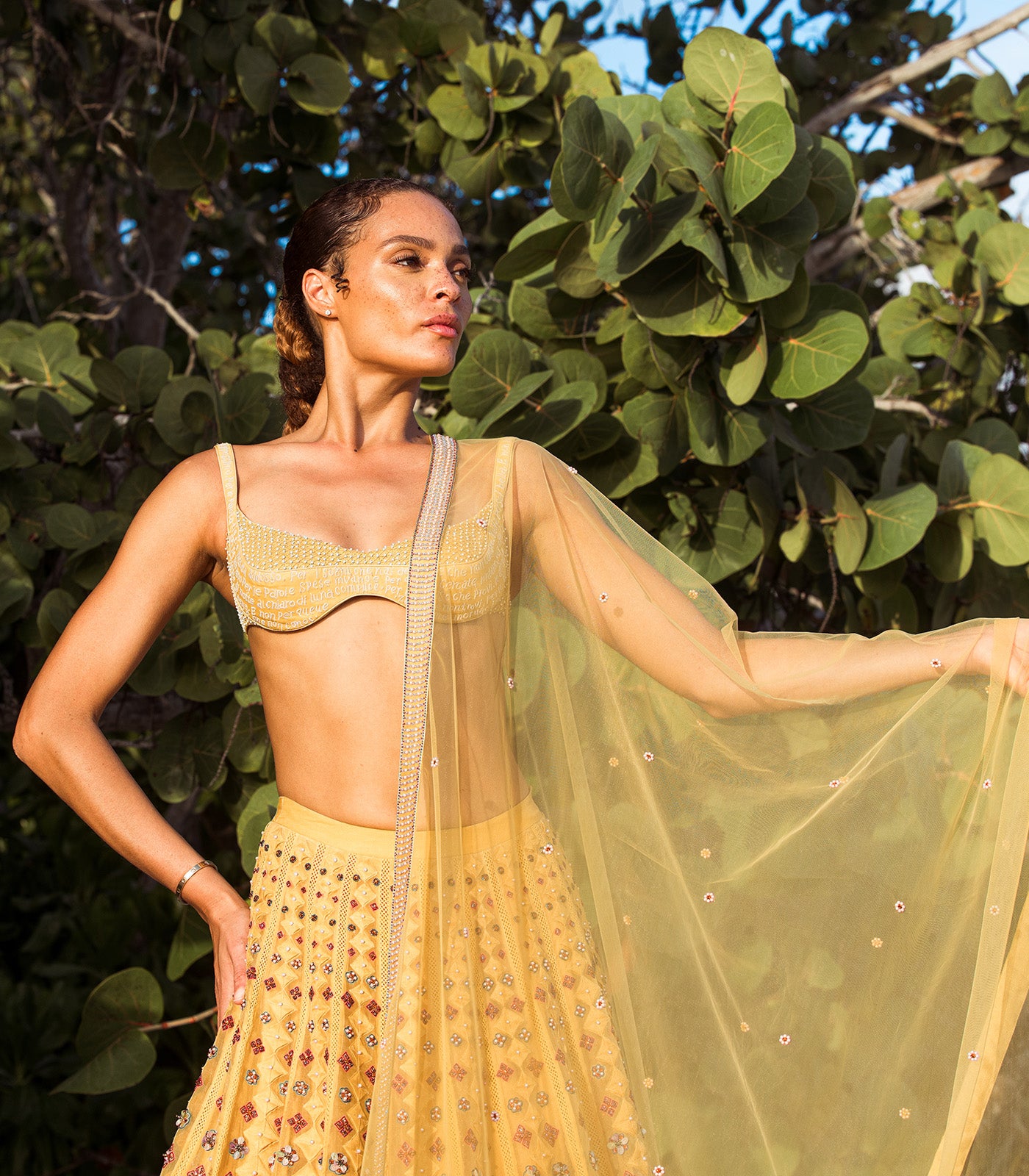 Sunlit Embellished Lehenga