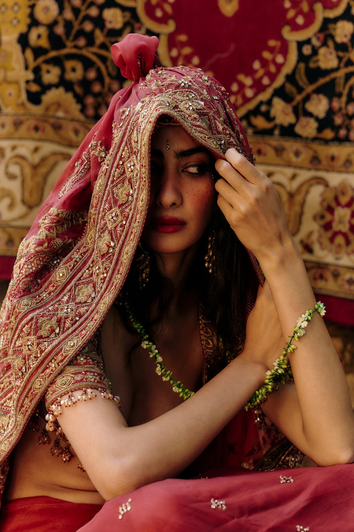 Regal Embroidered Sari