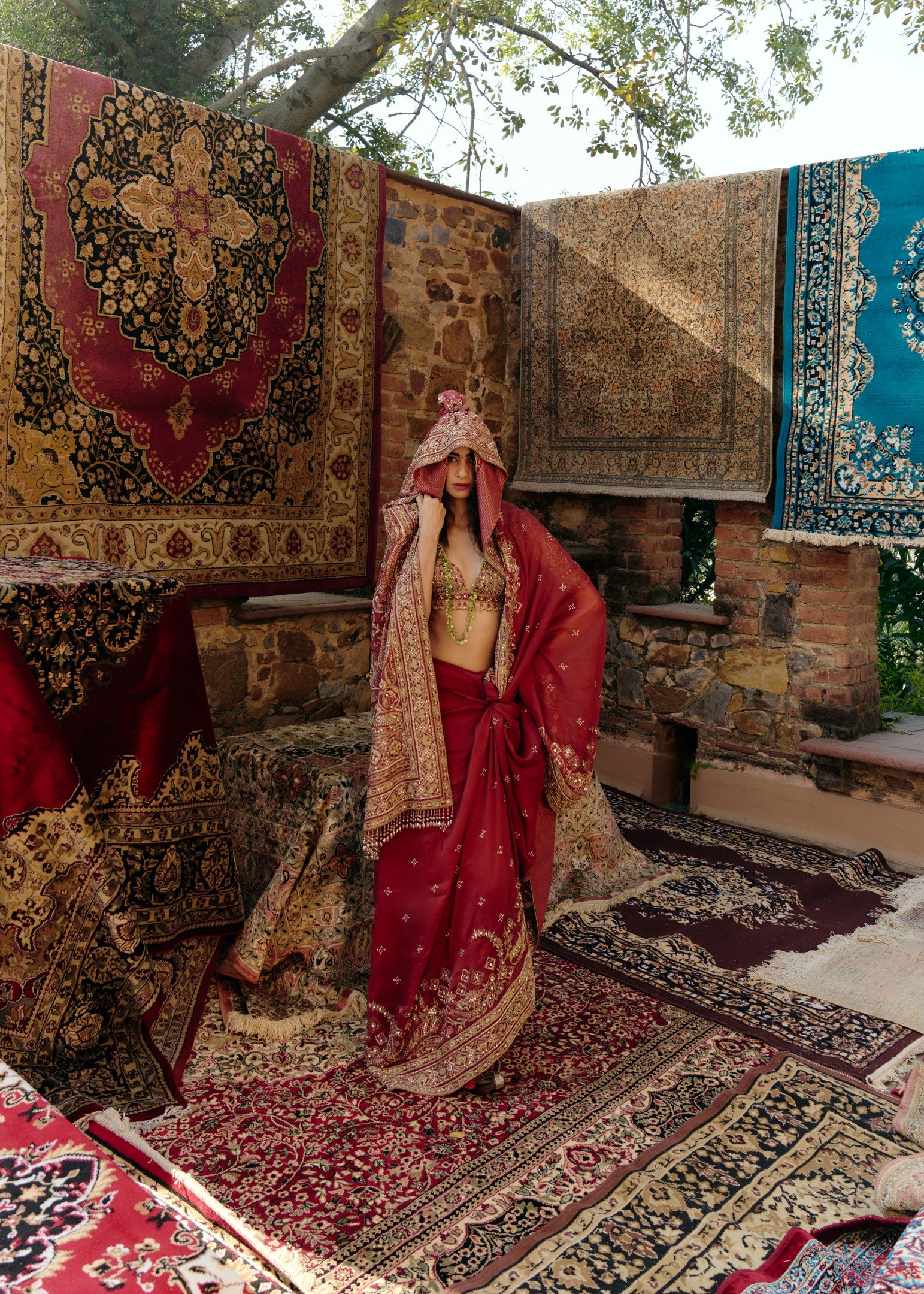 Regal Embroidered Sari