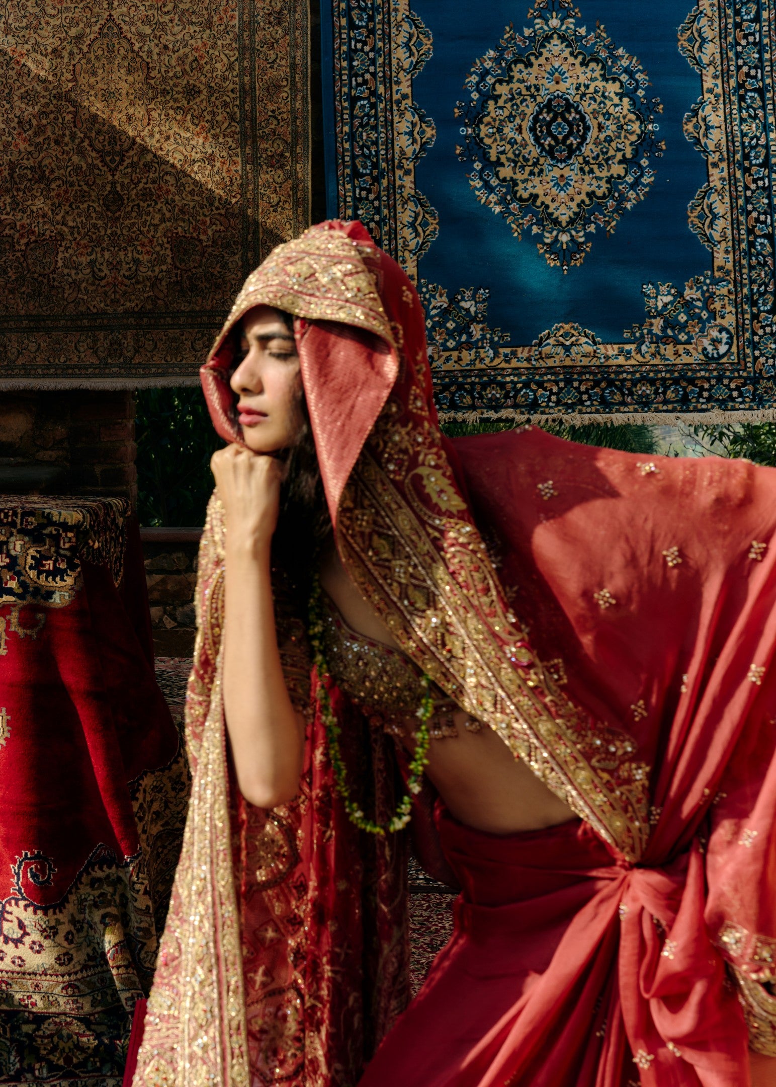 Regal Embroidered Sari