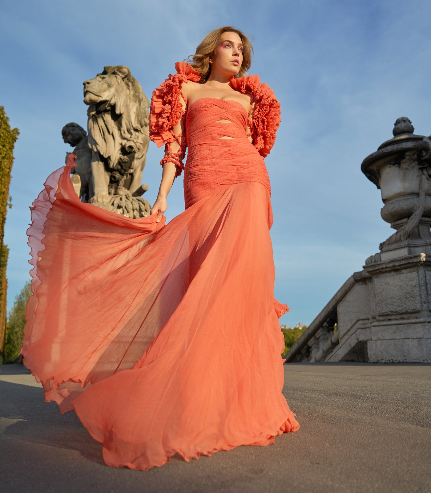 Fit and Flare Cut out Gown