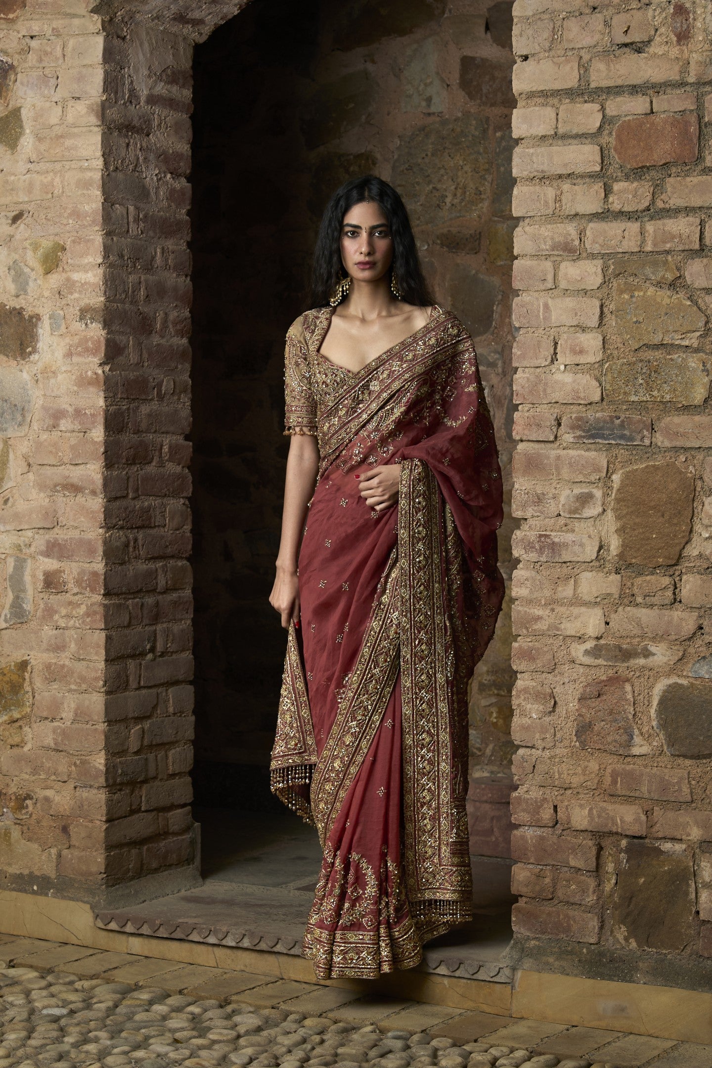 Regal Embroidered Sari