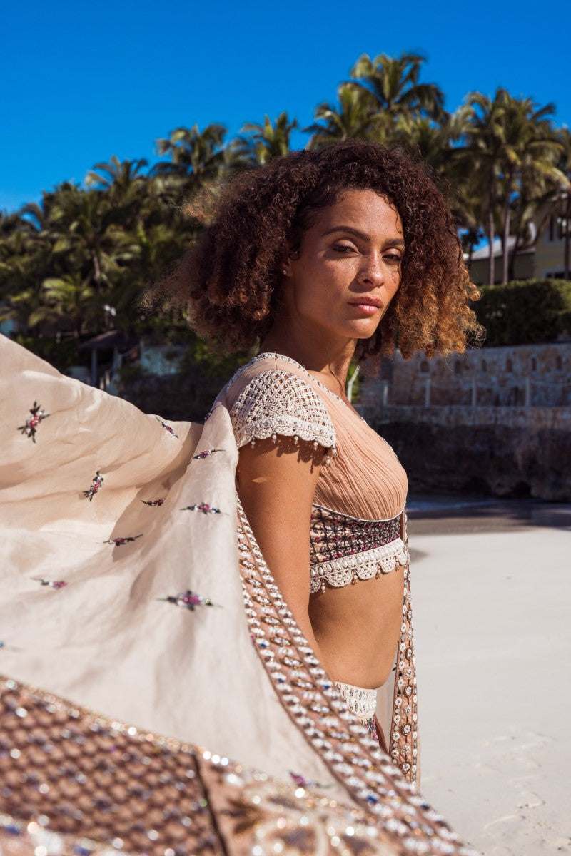 Embroidered Motif Lehenga