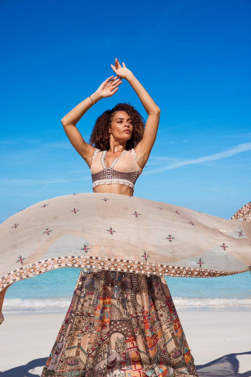 Embroidered Motif Lehenga