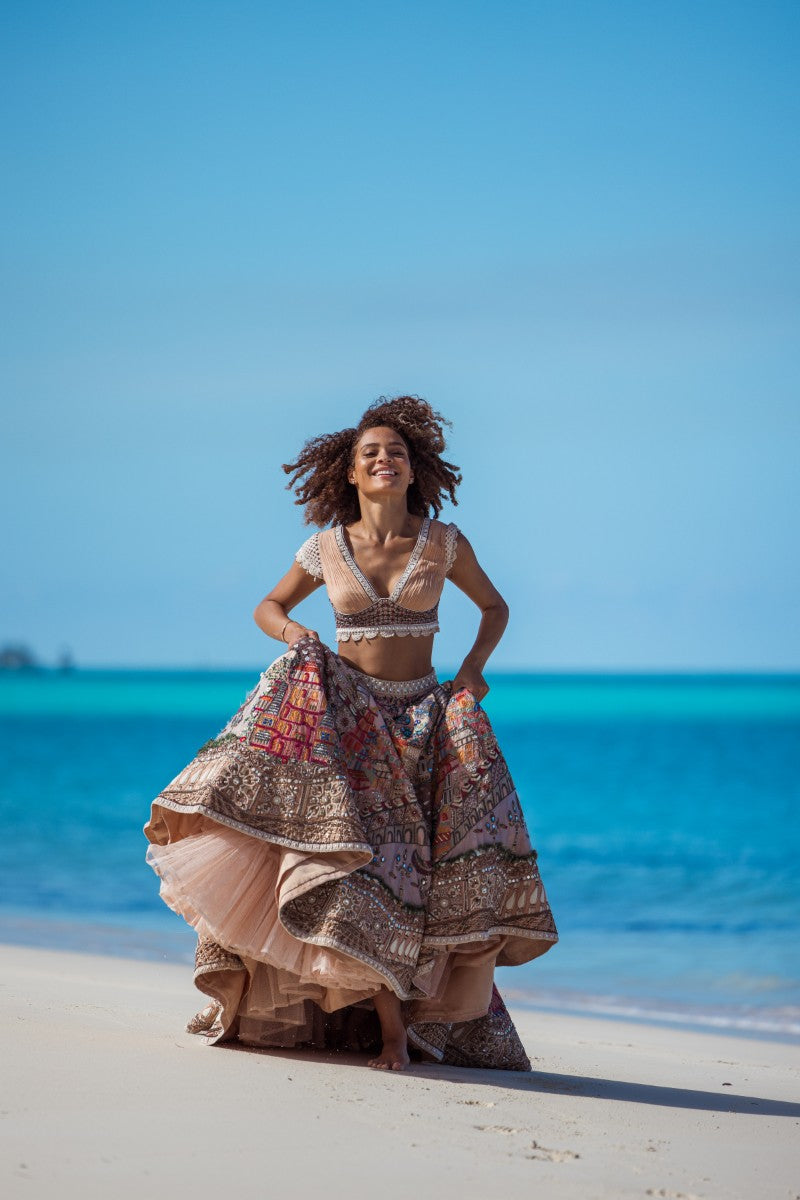 Embroidered Motif Lehenga