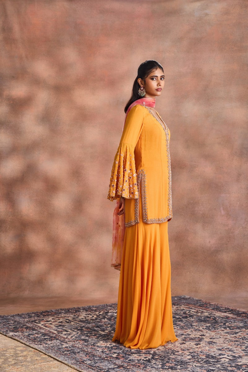 Embelished kurta Set