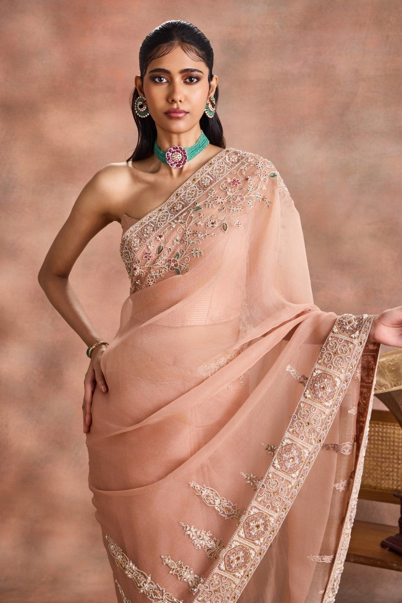 Corseted Sheer Saree